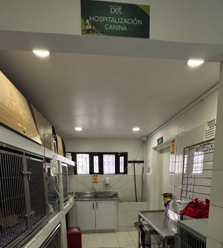 hospitalizacion canina en medellin