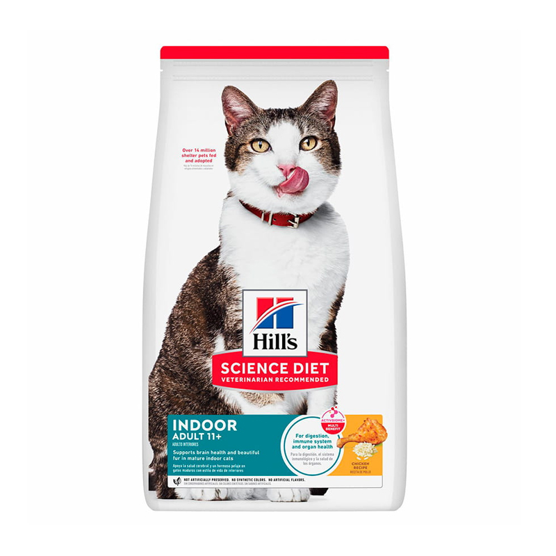 hills cat